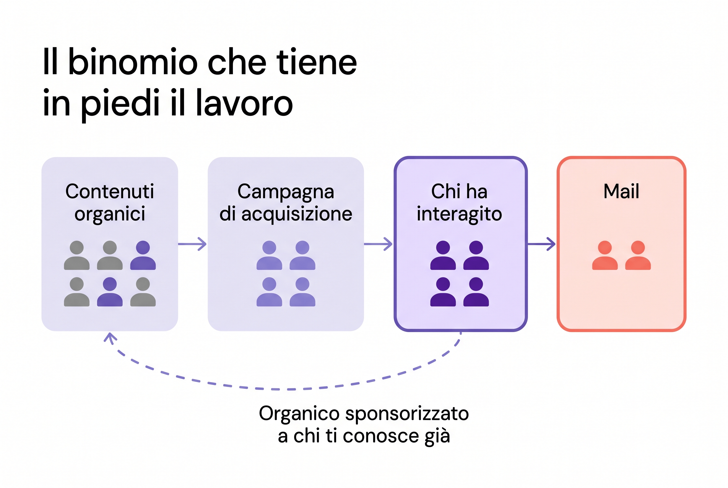 Schema di contenuti organici, campagna di acquisizione, pubblico che ha interagito e mail